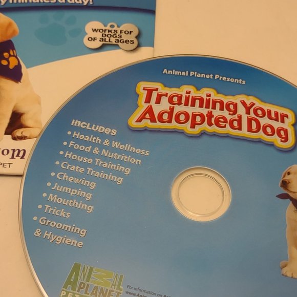 Pet Dog Bundle of 12 Items - Picture 14 of 14